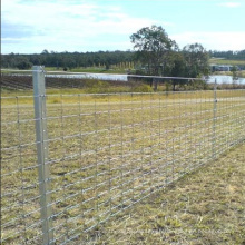 Factory Supply High Quality Farm Fence & Field Fence & Cattle Fence